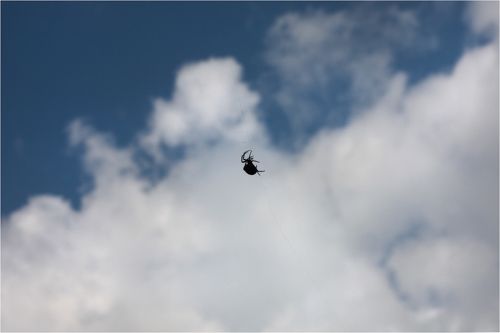 Тот самый Мюнхгаузен