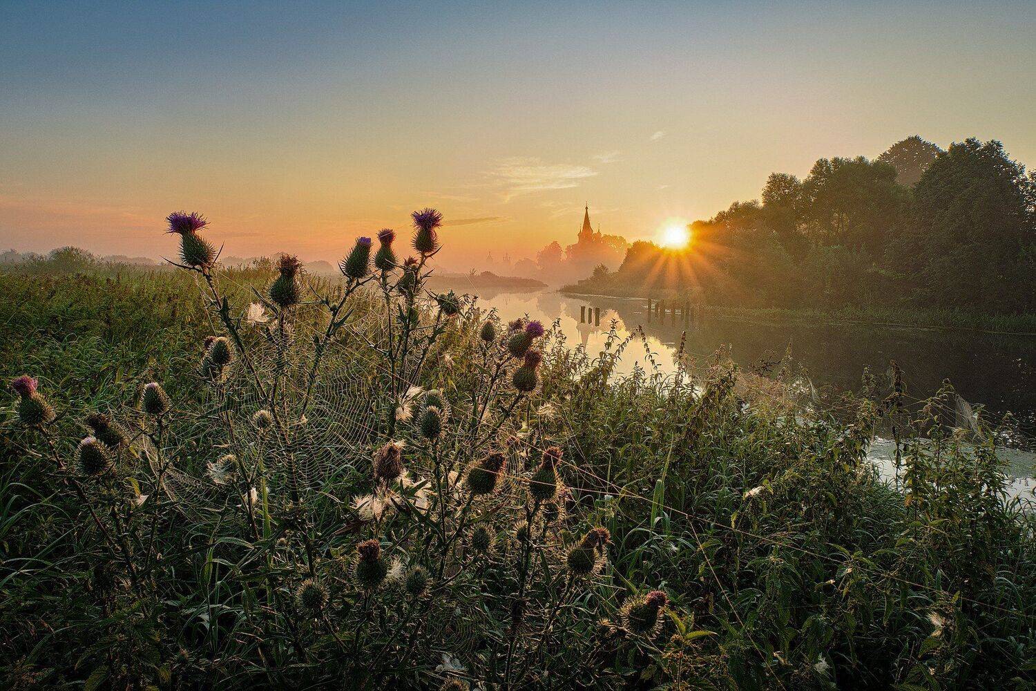 утро, река, рассвет, туман, дунилово, теза, Григорий Бельцев