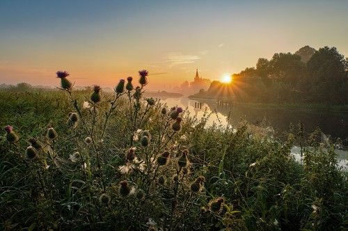 Оранжевый рассывет
