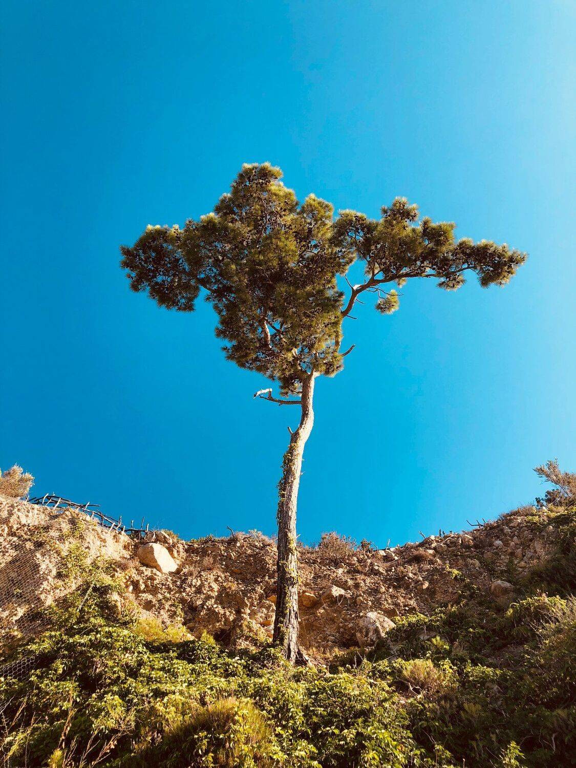 турция,кемер, Татьяна