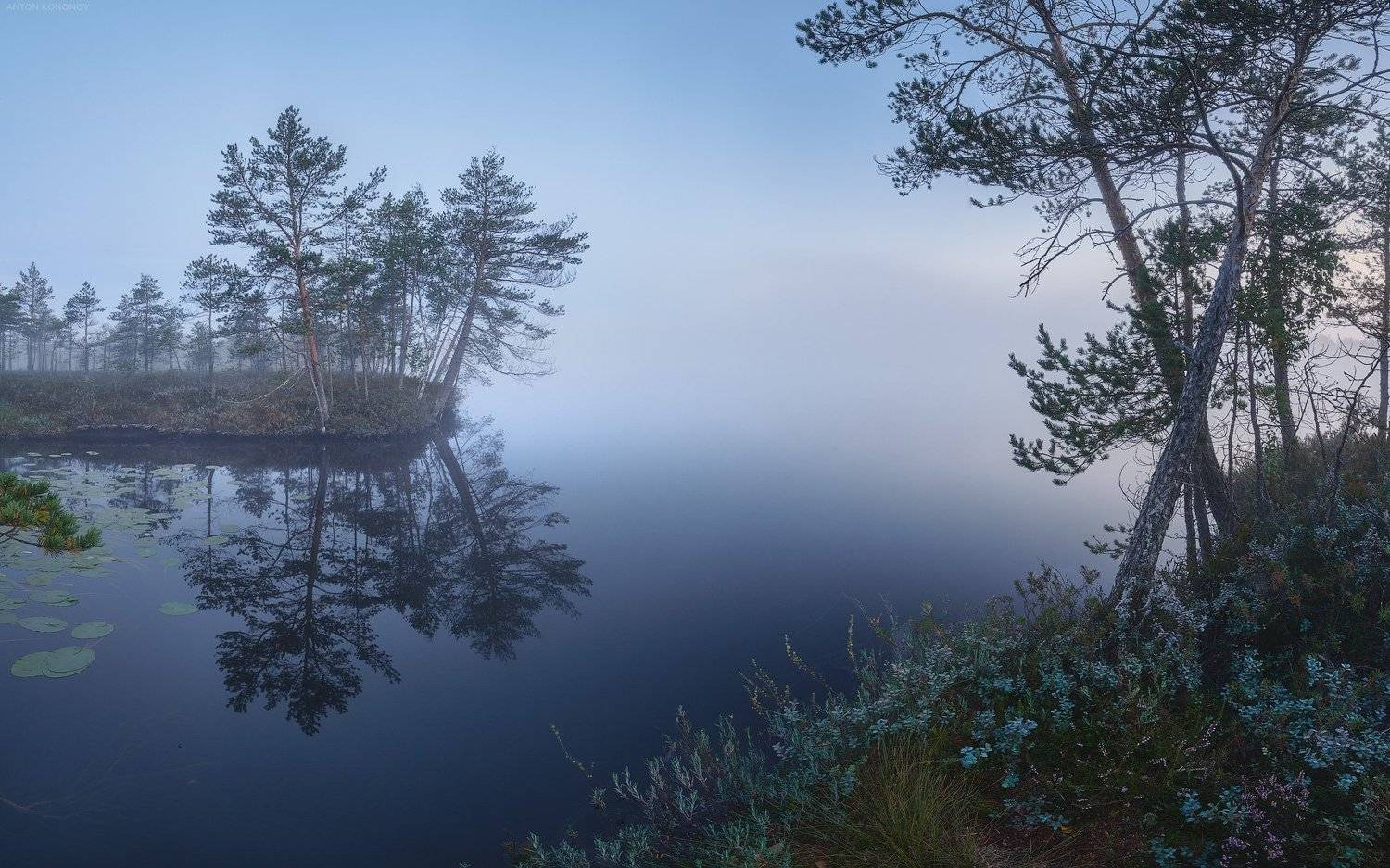 туман, озеро, сосны, отражение, Антон Кононов