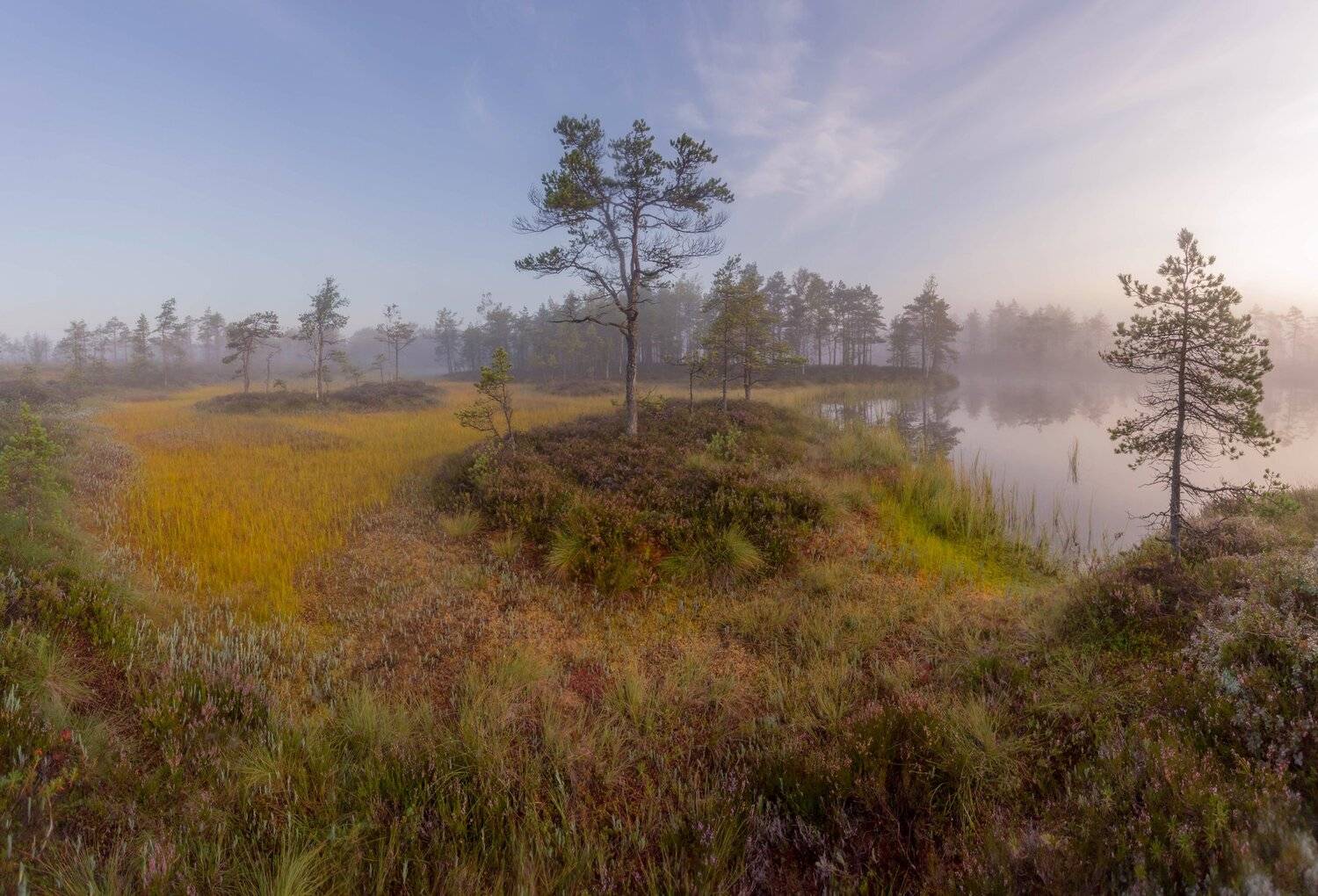 болото, кайф, рассвет ,север ,солнце, свет, закат, облака, отражение, фототур, Павел Ващенков