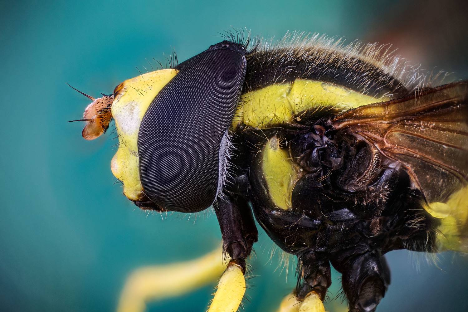 , Сергей Чупахин