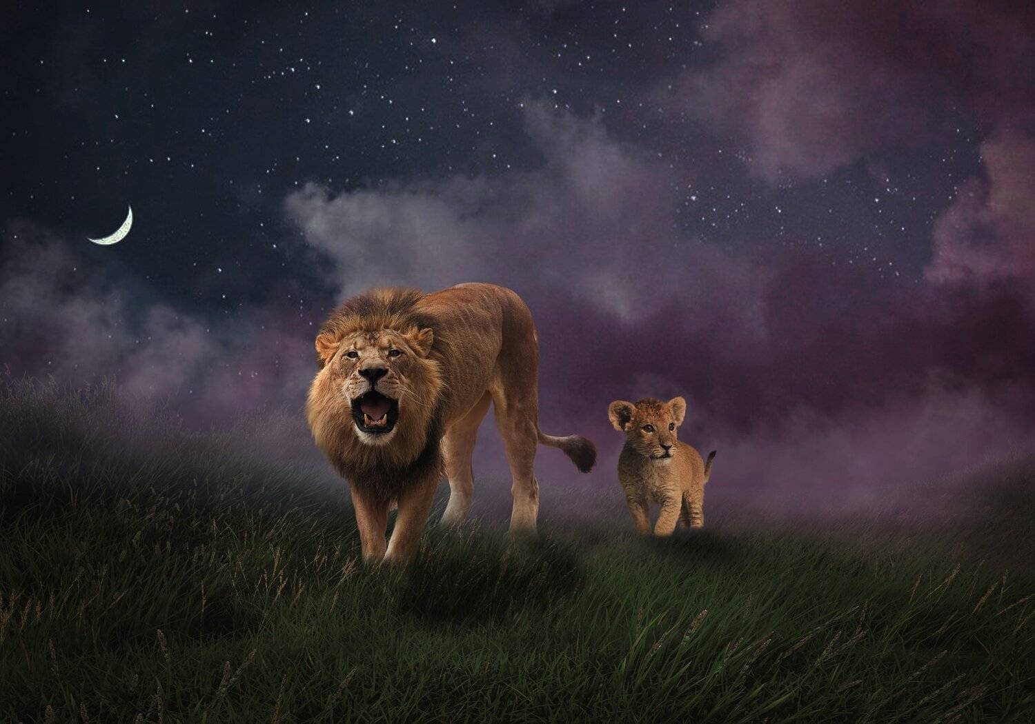 лев, львенок, облака, Sergii Vidov