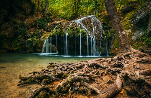 И у водопадов есть корни...
