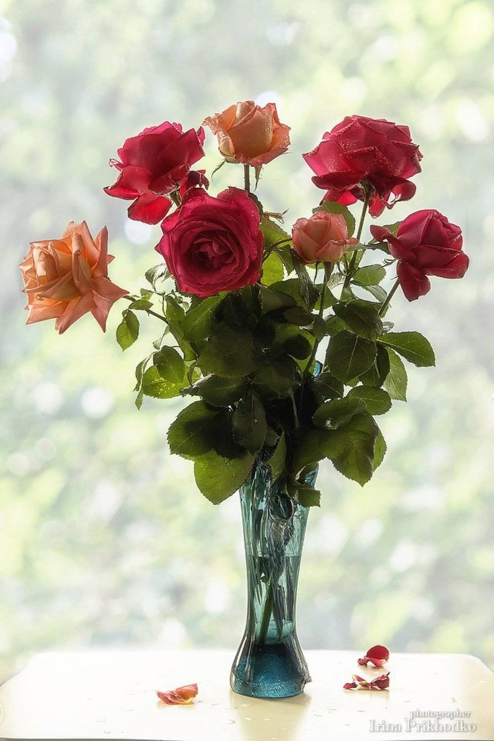 натюрморт, цветы, букет, розы, Ирина Приходько