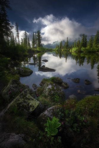 День на Лазурном