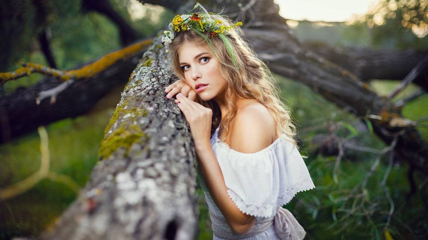 , Алексей Котлов