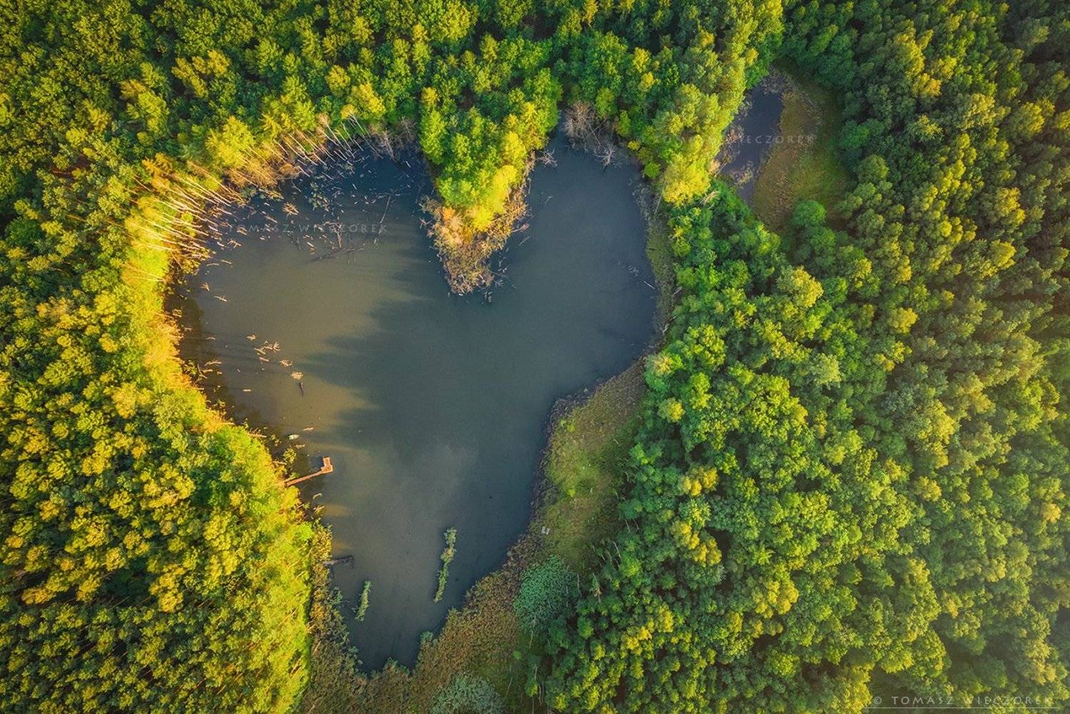 drone, dji, air, poland, polish, landscape, sunrise, sunset, colours, summer, awesome, amazing, adventure, travel, beautiful, morning, lake, pond, heart, love, Tomasz Wieczorek