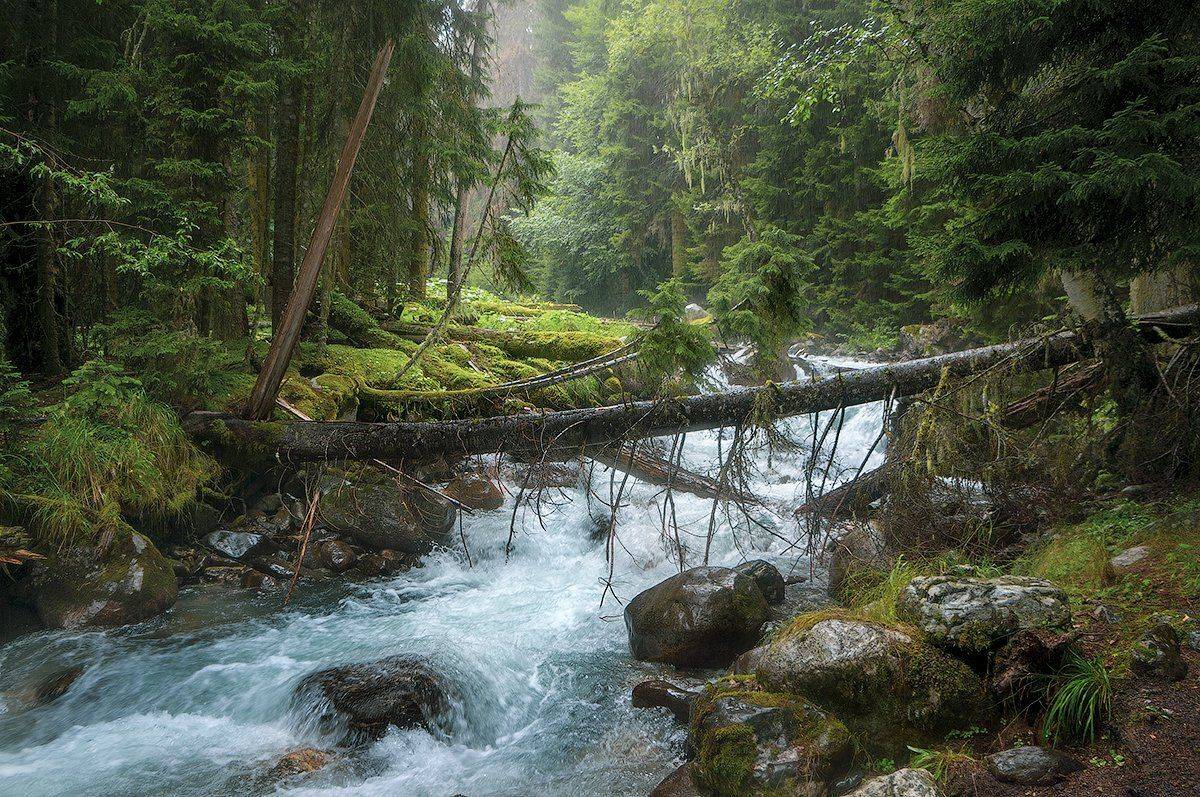 , Дитковский Евгений