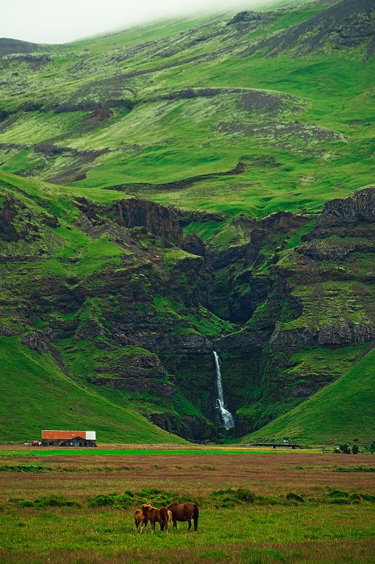 iceland, waterfall, horse, исландия, водопад, лошадь. [waterfall] фото превью