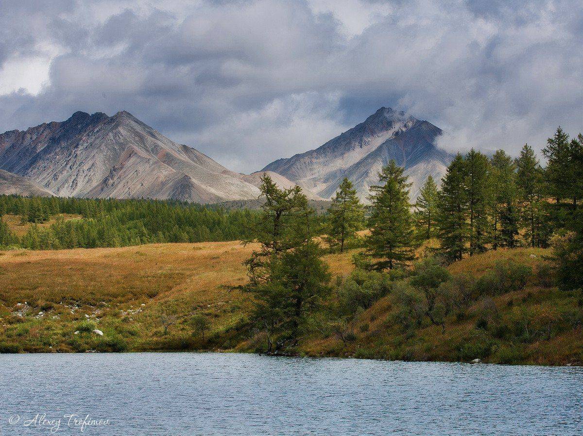 монголия, Алексей Трофимов