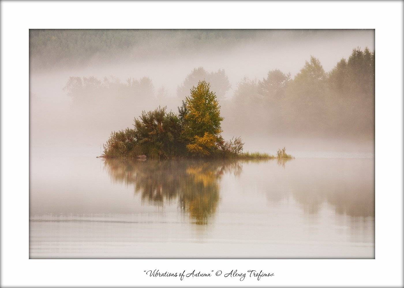 , Алексей Трофимов