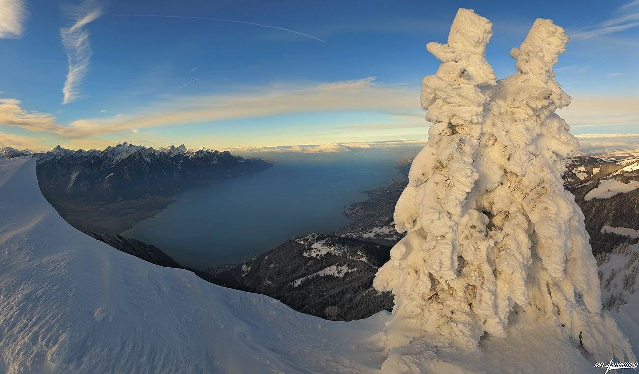 swiss, Матвеев Николай
