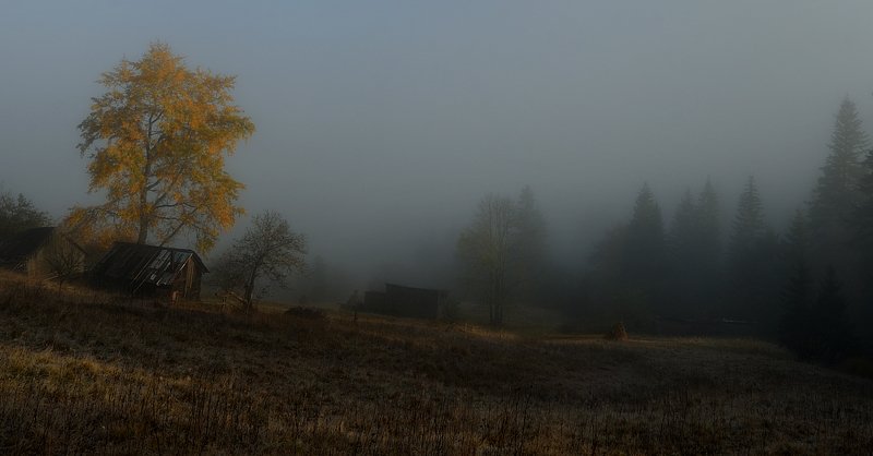 утро, туман, карпаты Ясиня фото превью