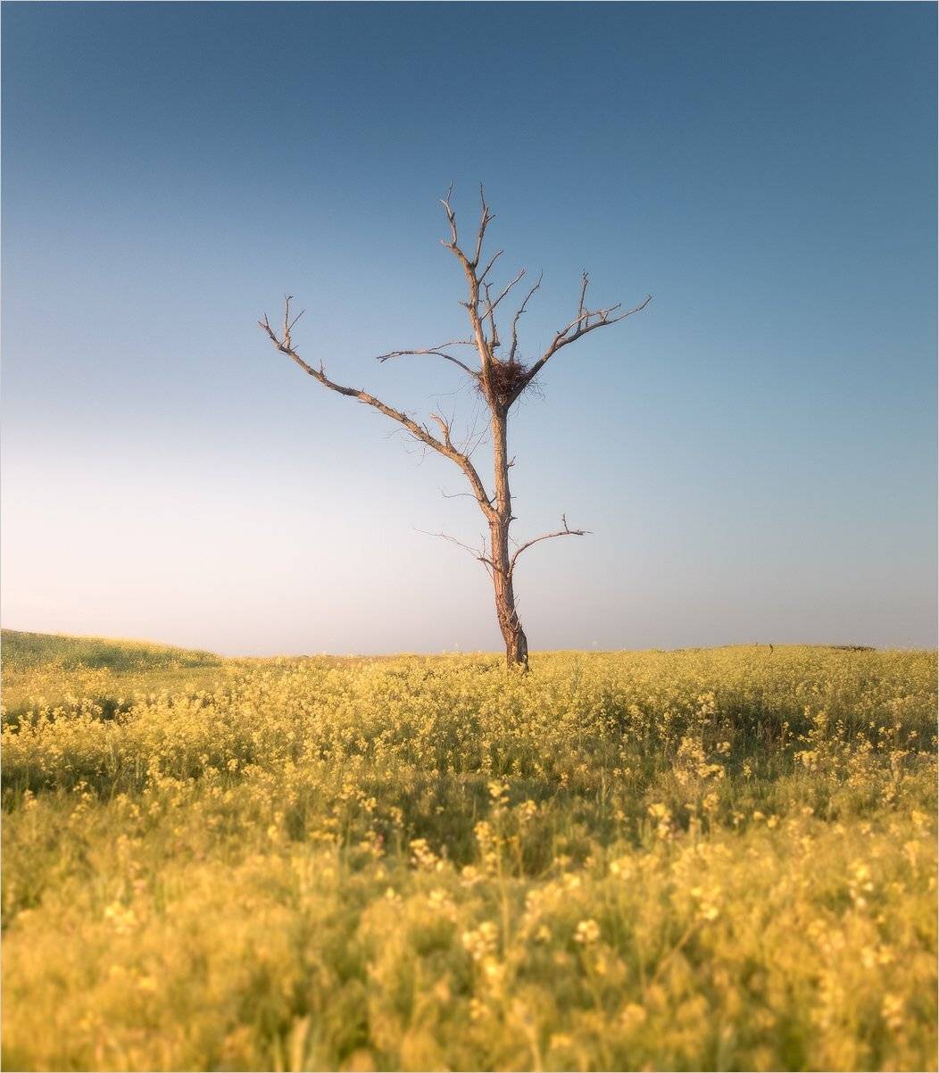 , Михаил Гапонов