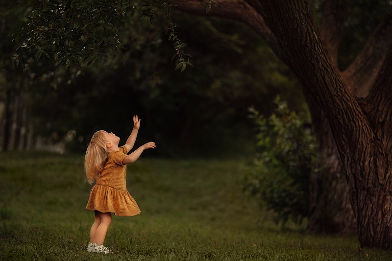 Когда деревья были большими фото превью