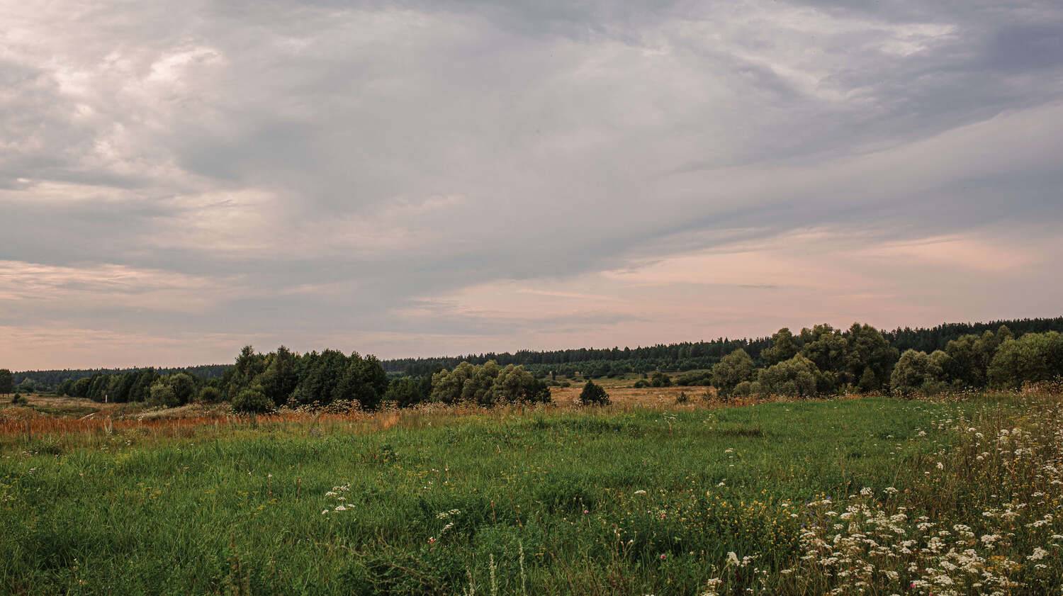 пейзаж, гремячево, лето, поле, небо, Владимир Васильев