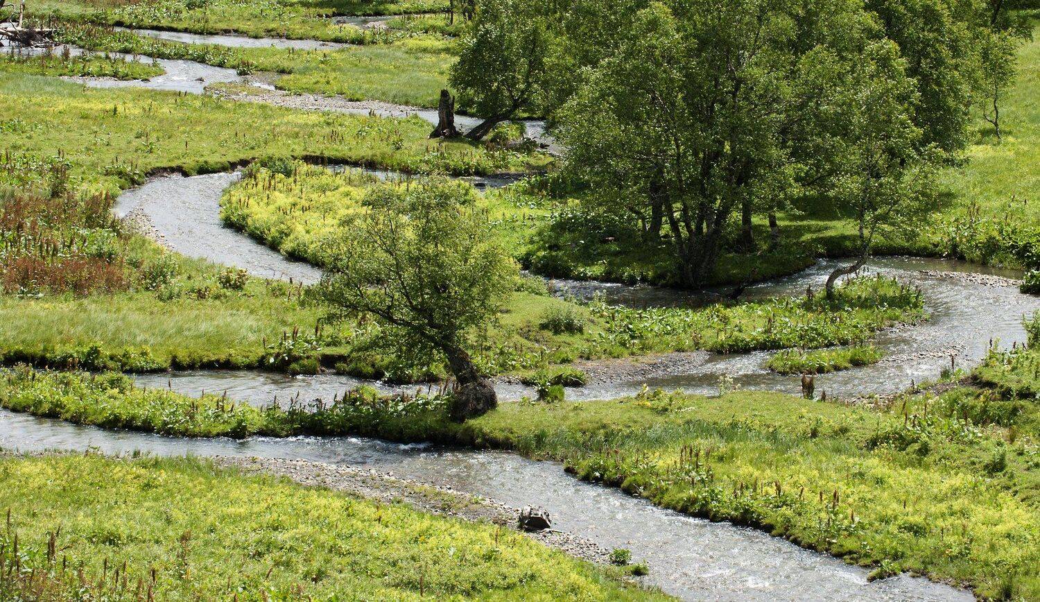 природа, Михаил Пшеннов