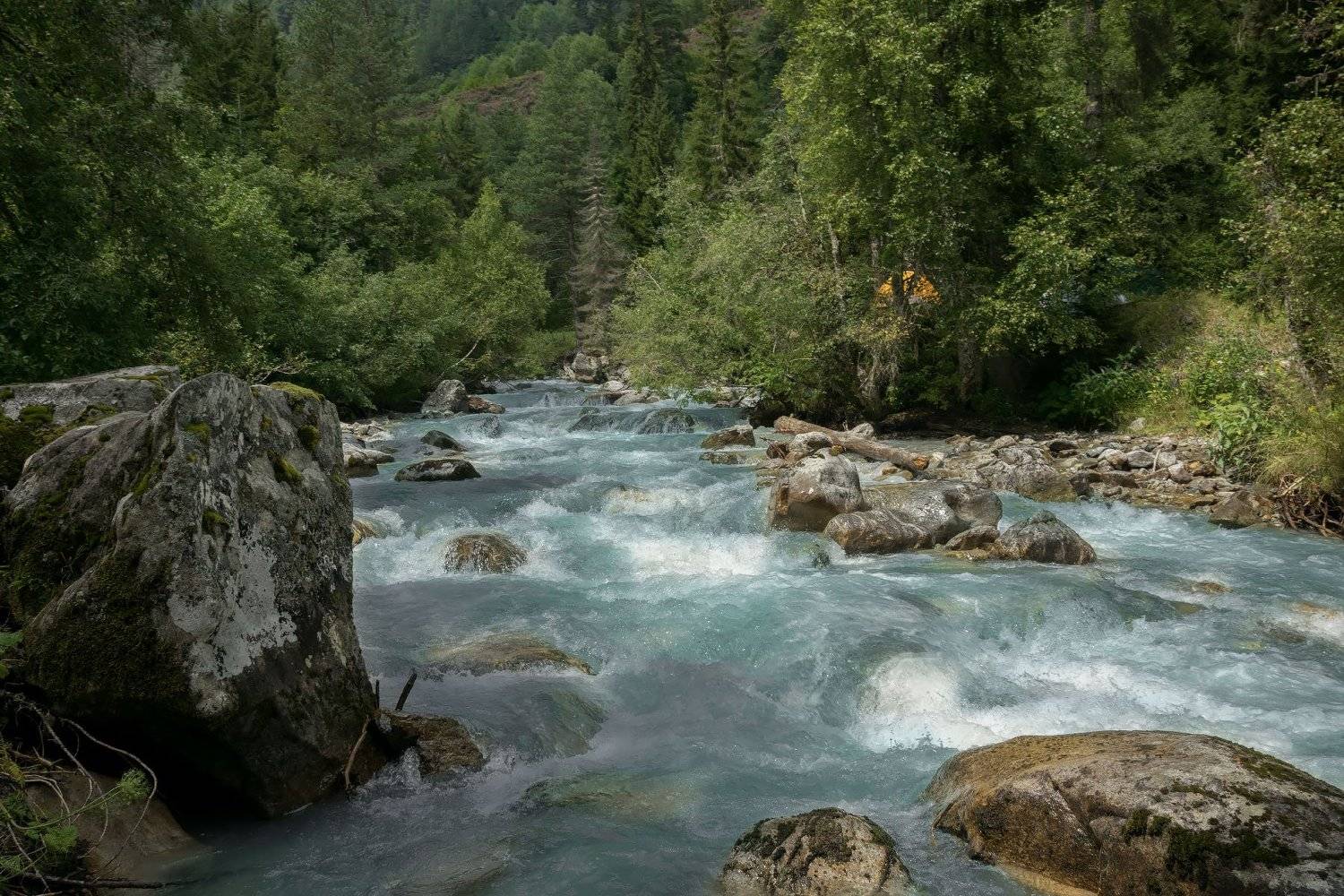 кавказ, махар, лес, река, вода, лето, природа, пейзаж,, Алиева Татьяна