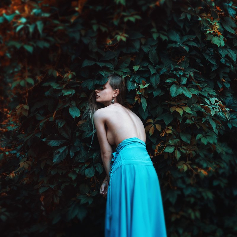 фото превью