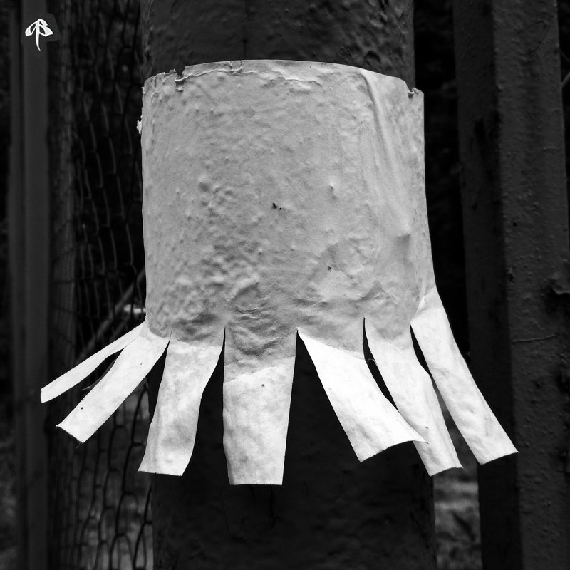 Объявление / Ad фото превью