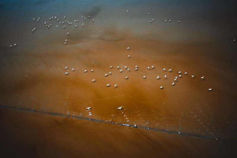 Freedom || Свобода фото превью