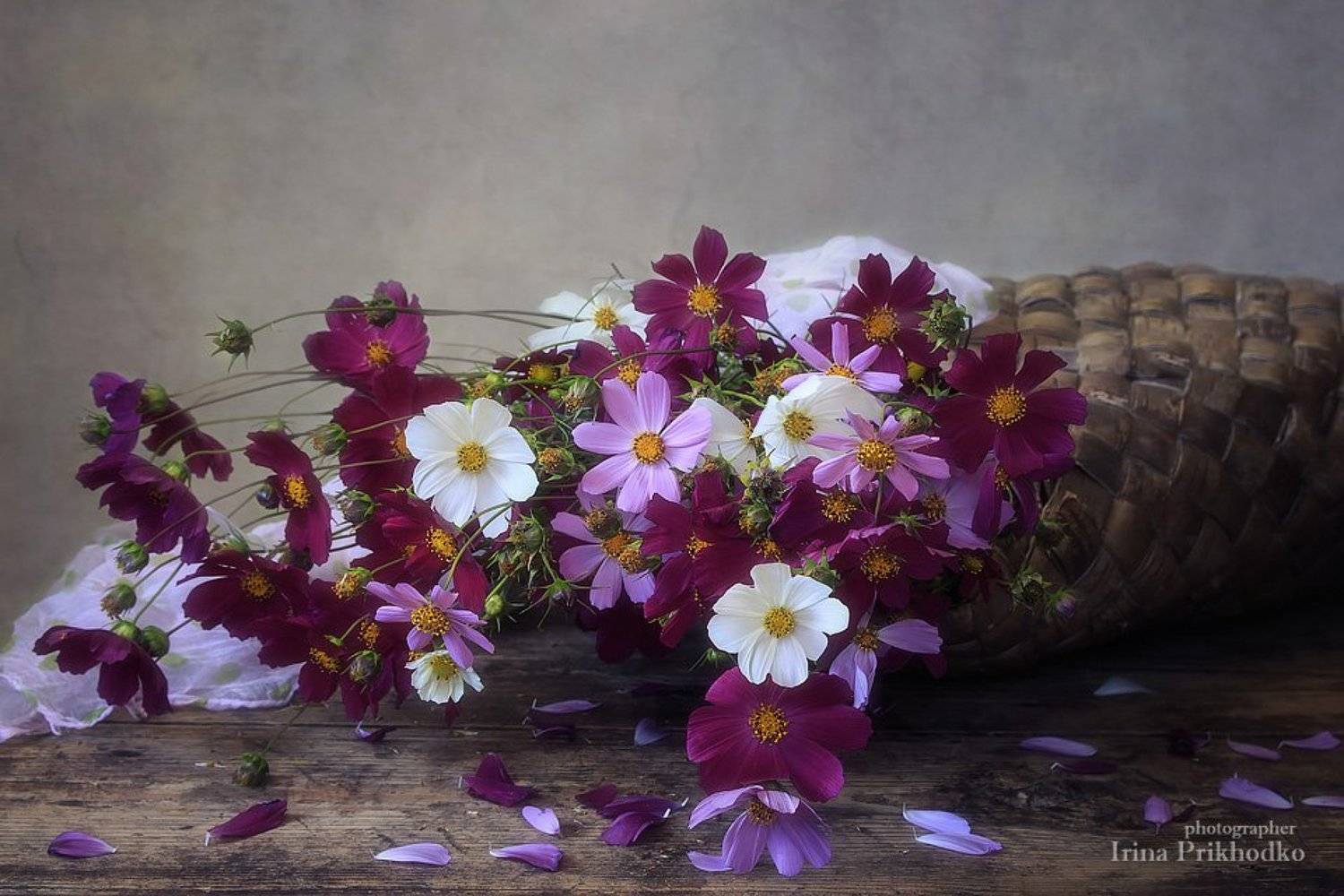 натюрморт, деревенский стиль, букет, космея, Ирина Приходько