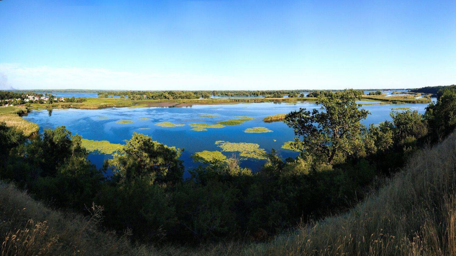 плавни,река,пейзаж,вода,берег,панорама, Сергей Богачёв