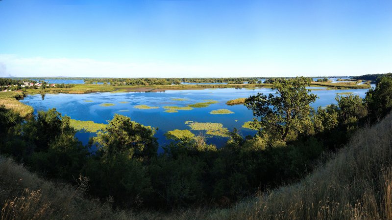 плавни,река,пейзаж,вода,берег,панорама *** фото превью