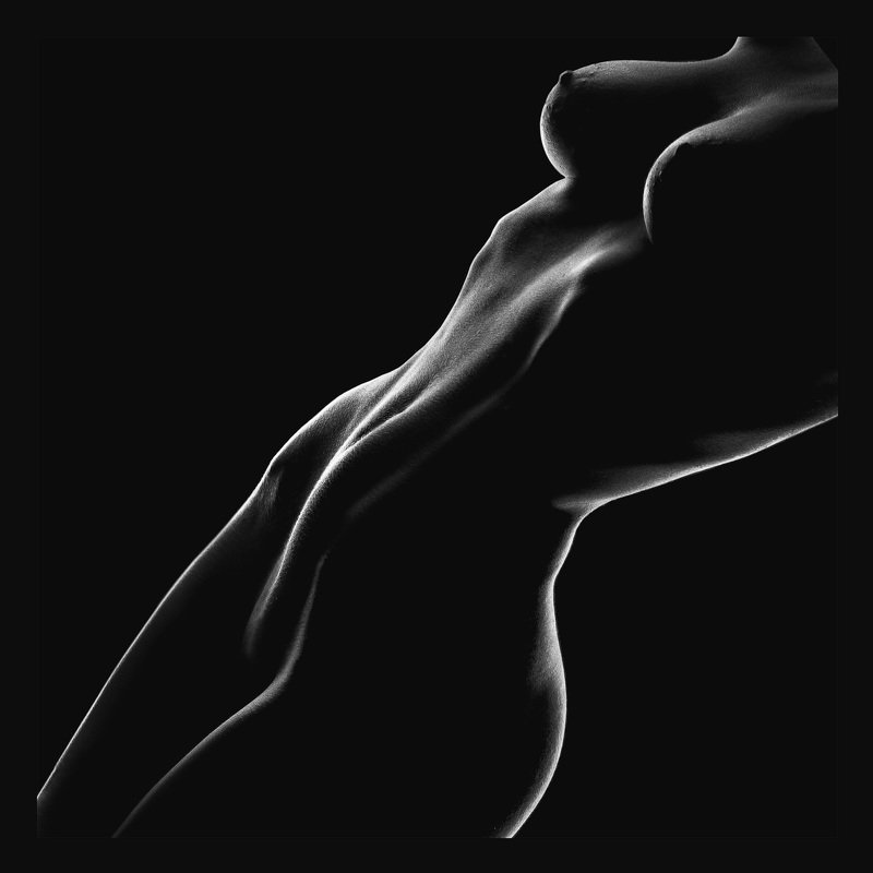 силуэт фото превью