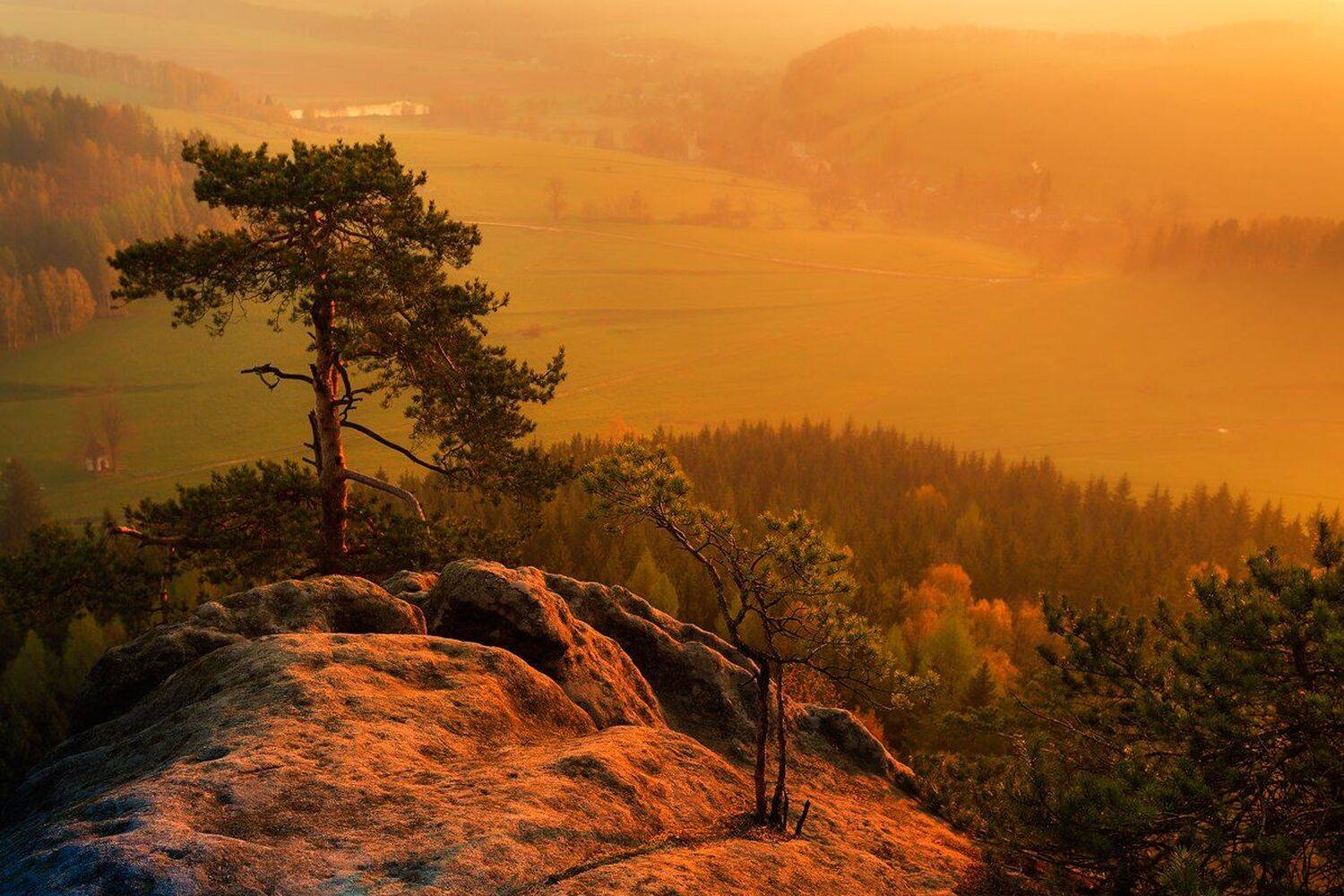 landscape,canon,mist,light,summer, Iza i Darek Mitręga