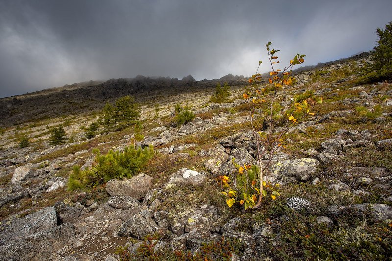 Северный Урал фото превью