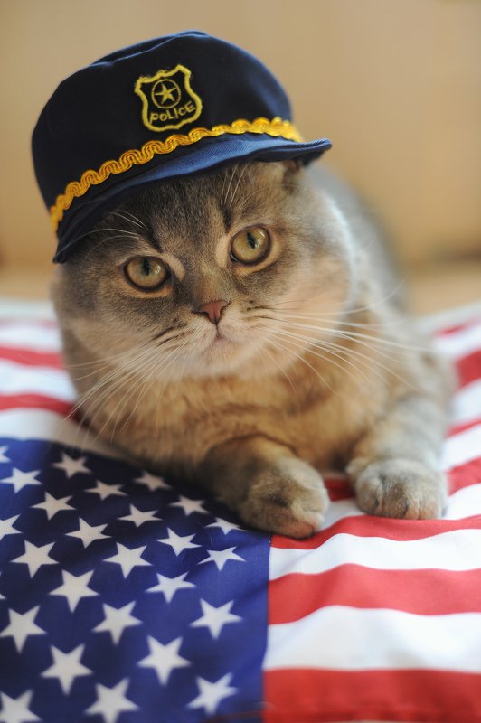 Funny policeman фото превью