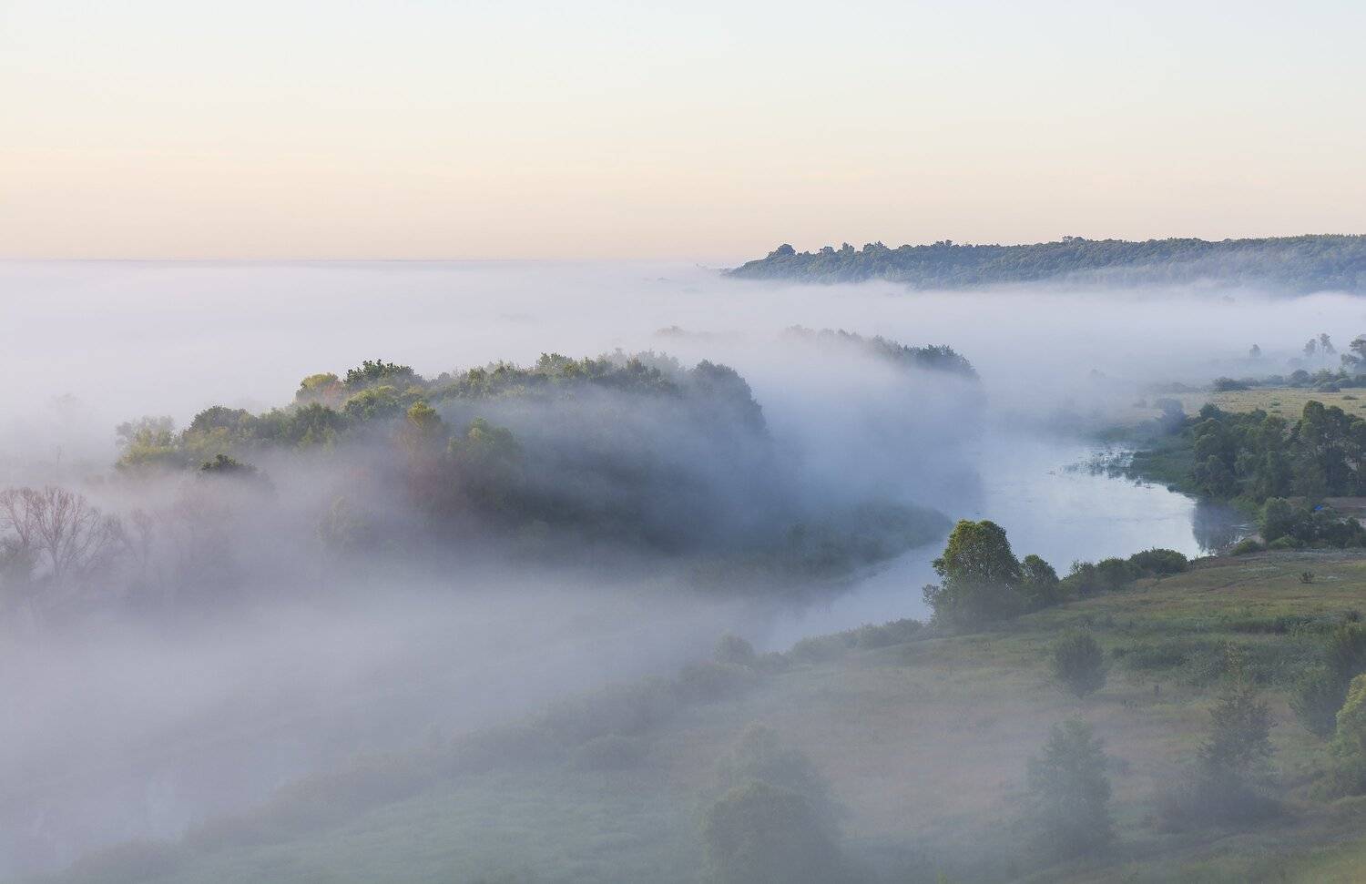 , Дмитрий Новоселов