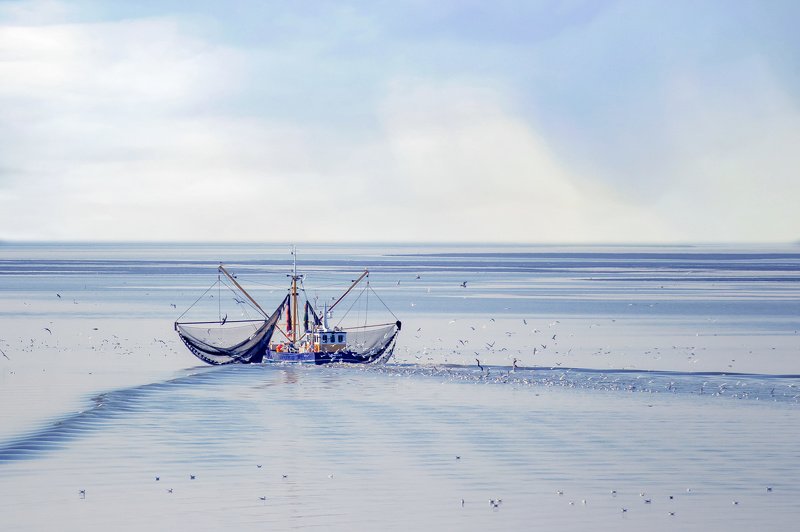 on the sea фото превью