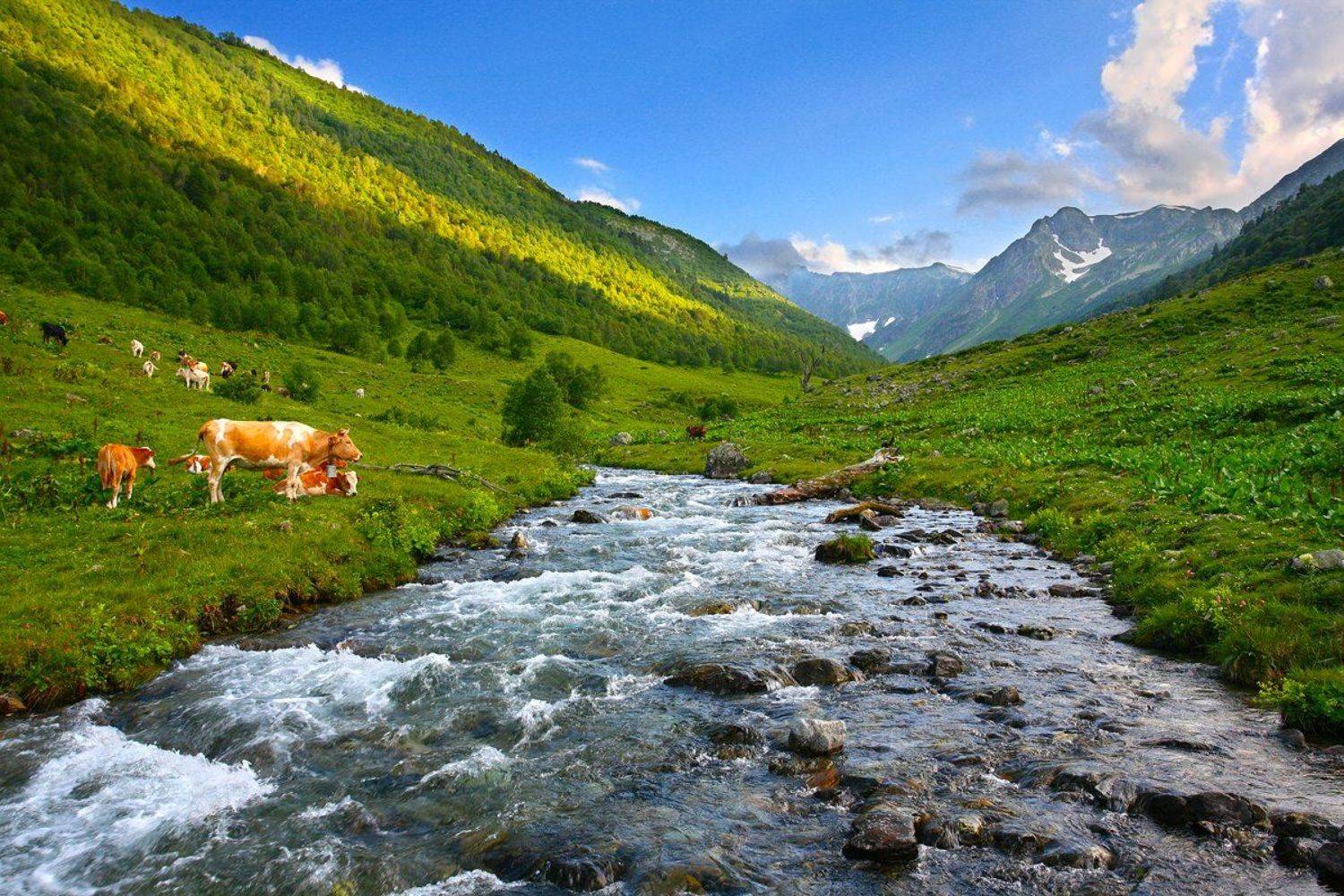 , Вадим Трунов