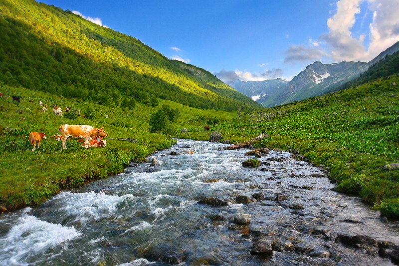 Дуккинские дали фото превью