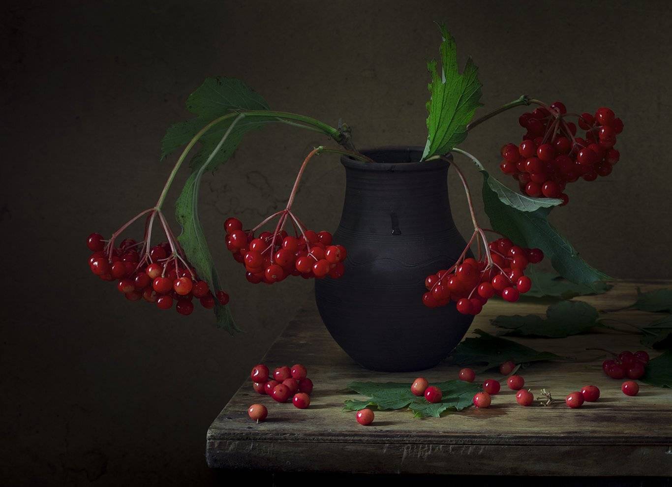 натюрморт,калина, Елена Рубинская