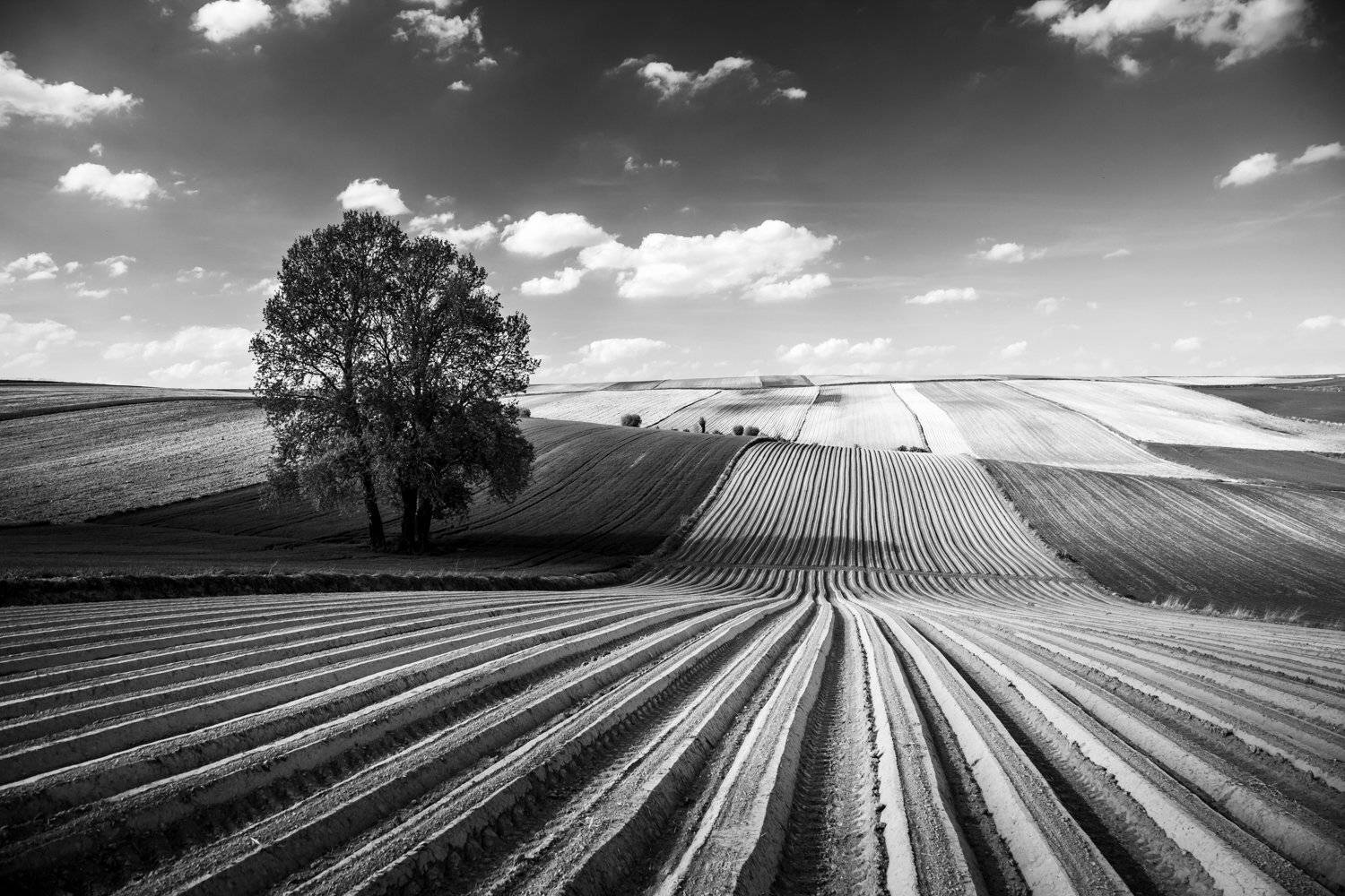 , Figat Marcin
