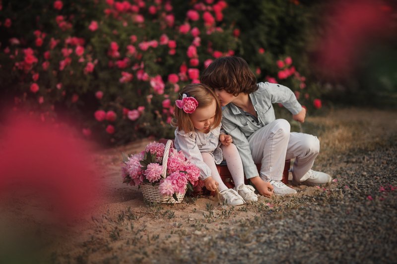 фото превью