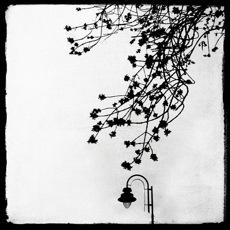 Пасмурные раздумья фото превью