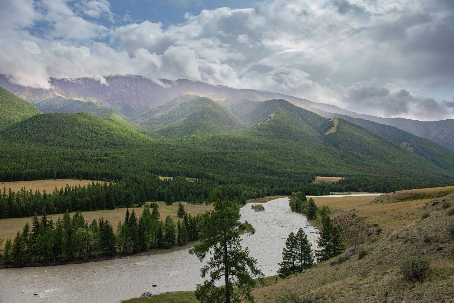 алтай altai republic, russia чуя, Сергей Сотников