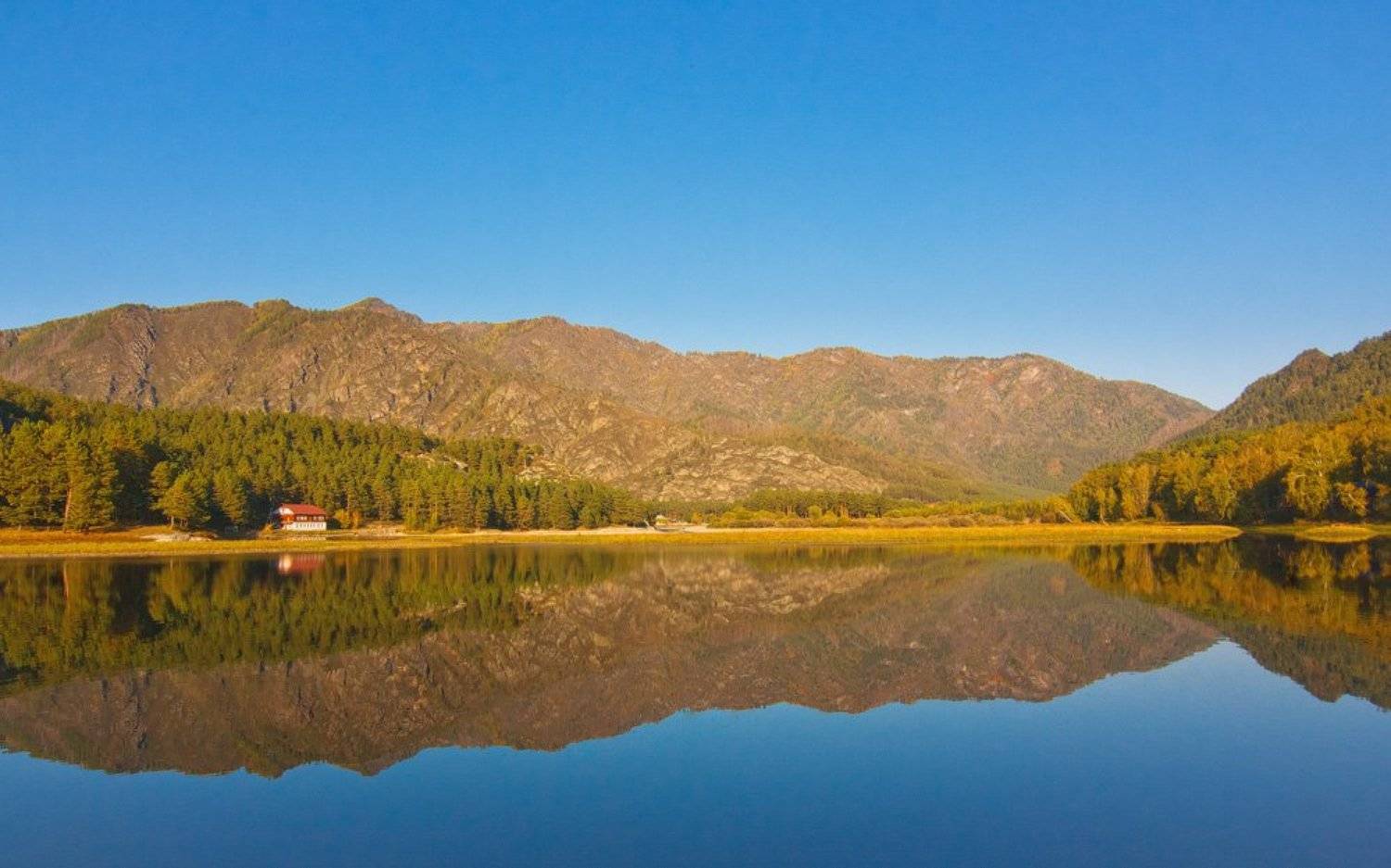 , Андрей Жвакин