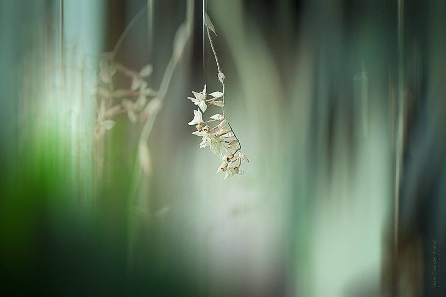 , Валерий Коновалов