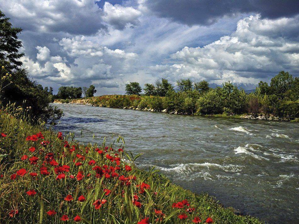 , Красимир Матаров