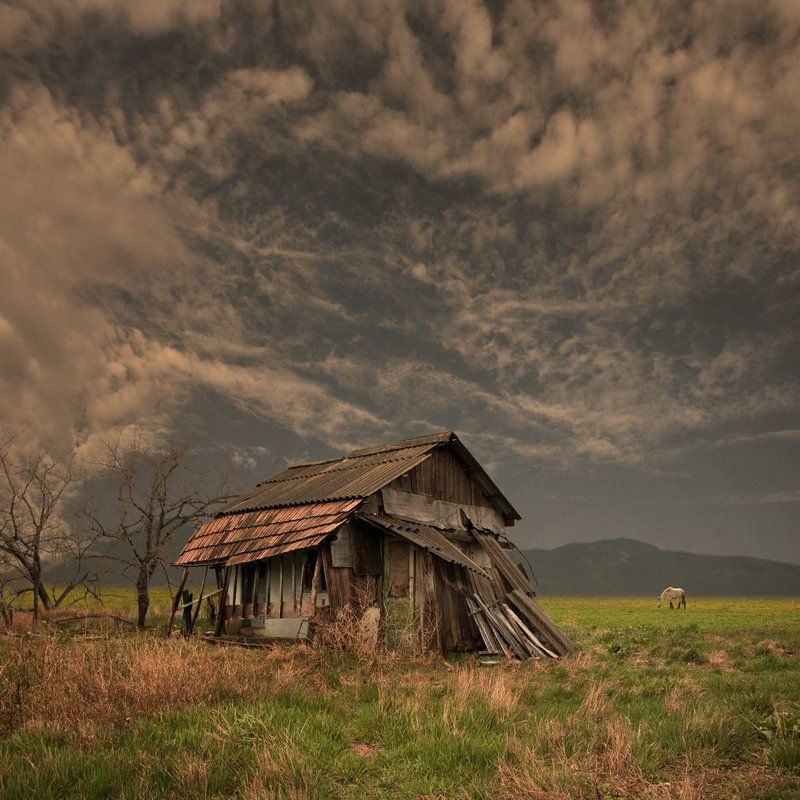 house, old, tree, fence, grass, wheat, grain, sky, clouds, sunset, shadow, lost, abandoned, alone, toned, beautiful, tree, horse The old house фото превью
