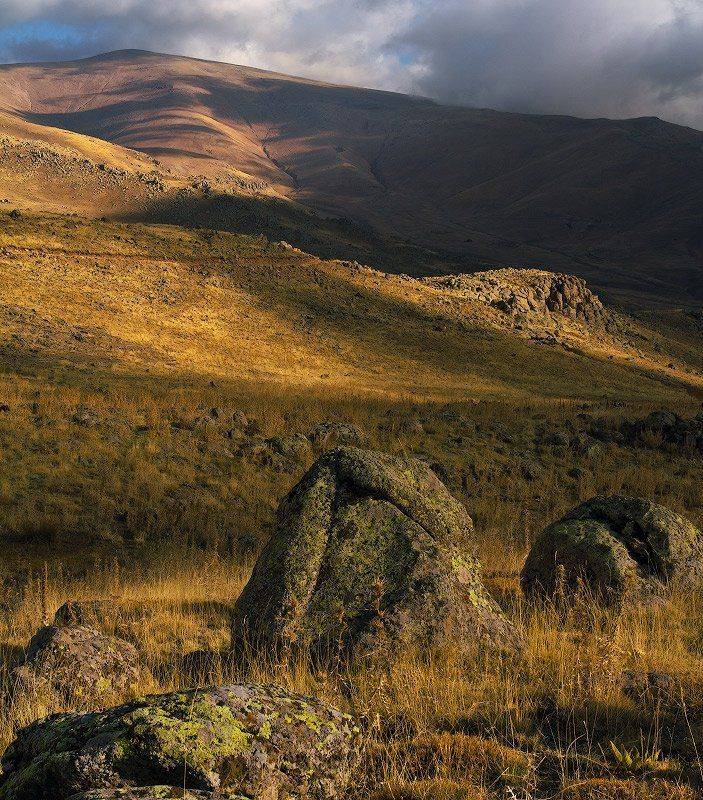 , Гамидов Мурад