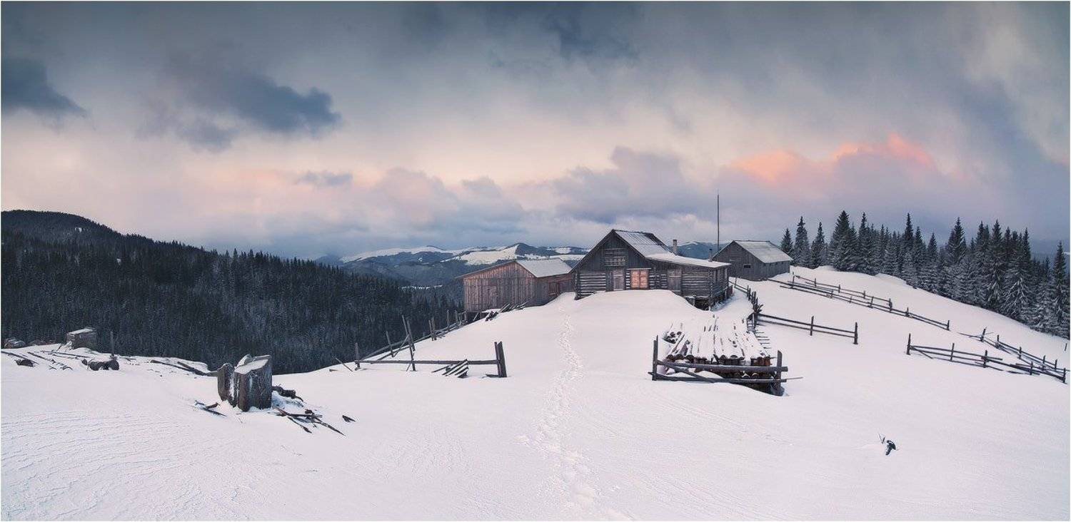 , Денис Кривой