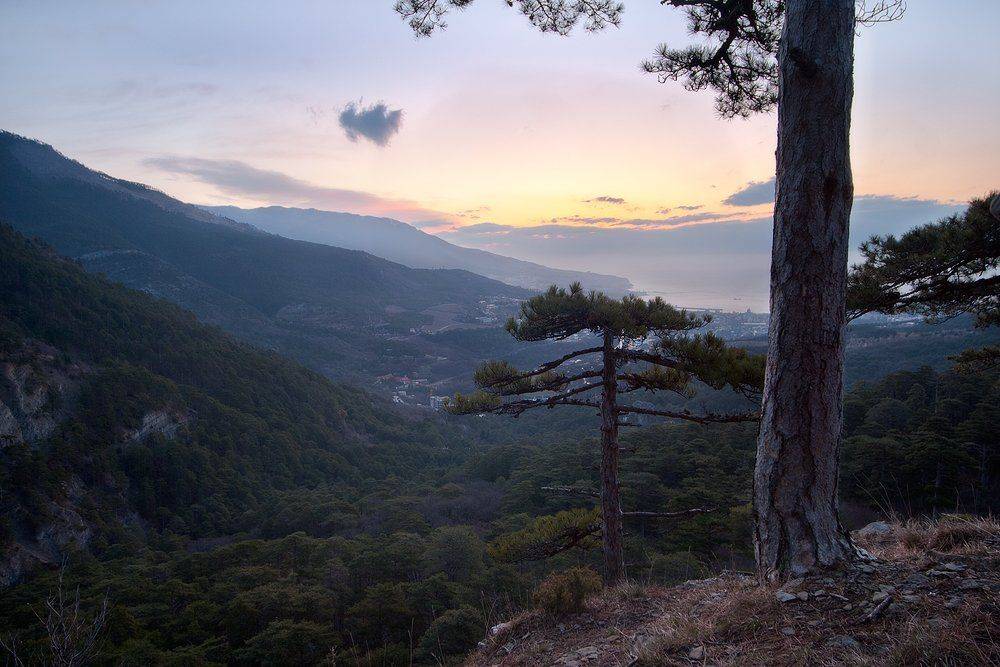 , Дитковский Евгений